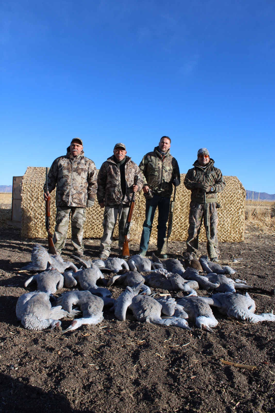 Four hunters with sandhill cranes at the blind, mountains behind
