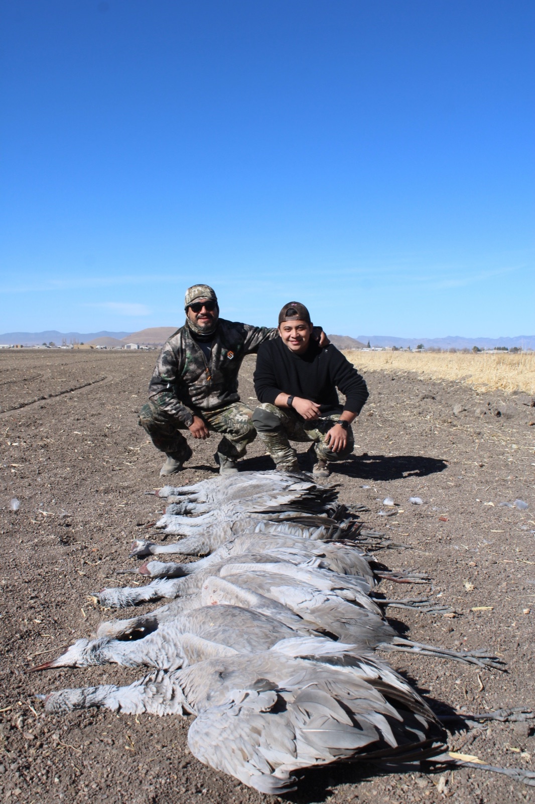 Two hunters kneeling with sandhill cranes lined up
