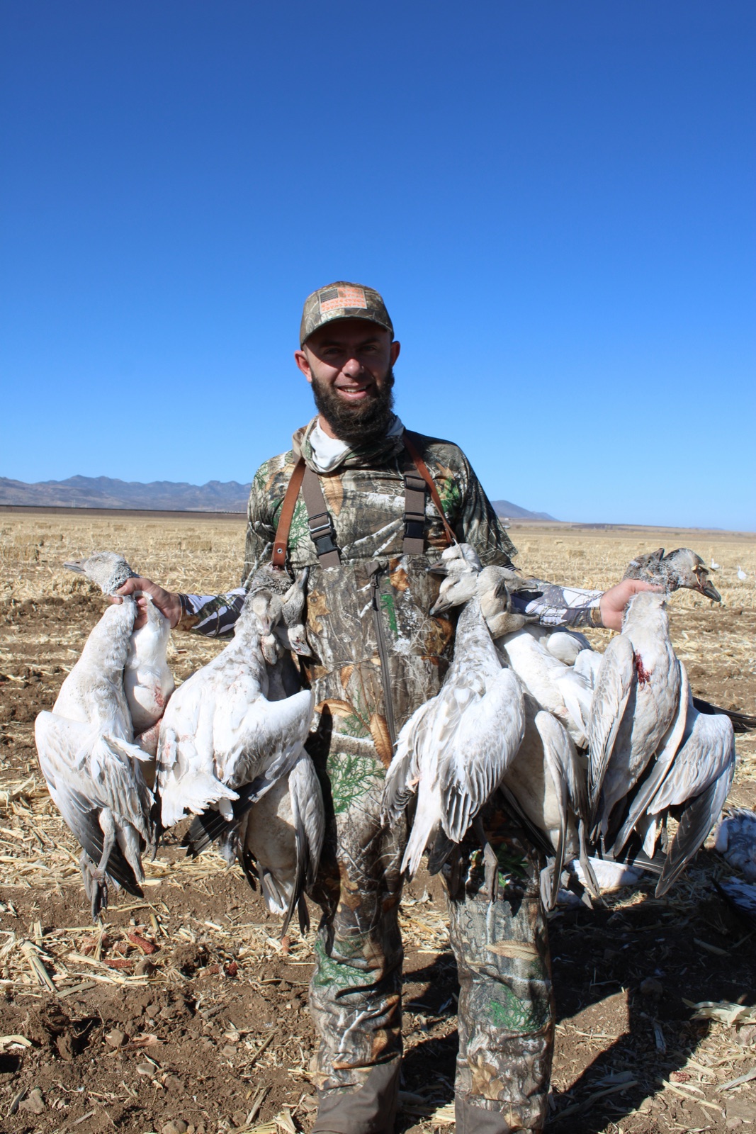 Five hunters with a large pile of snow geese, mountains behind
