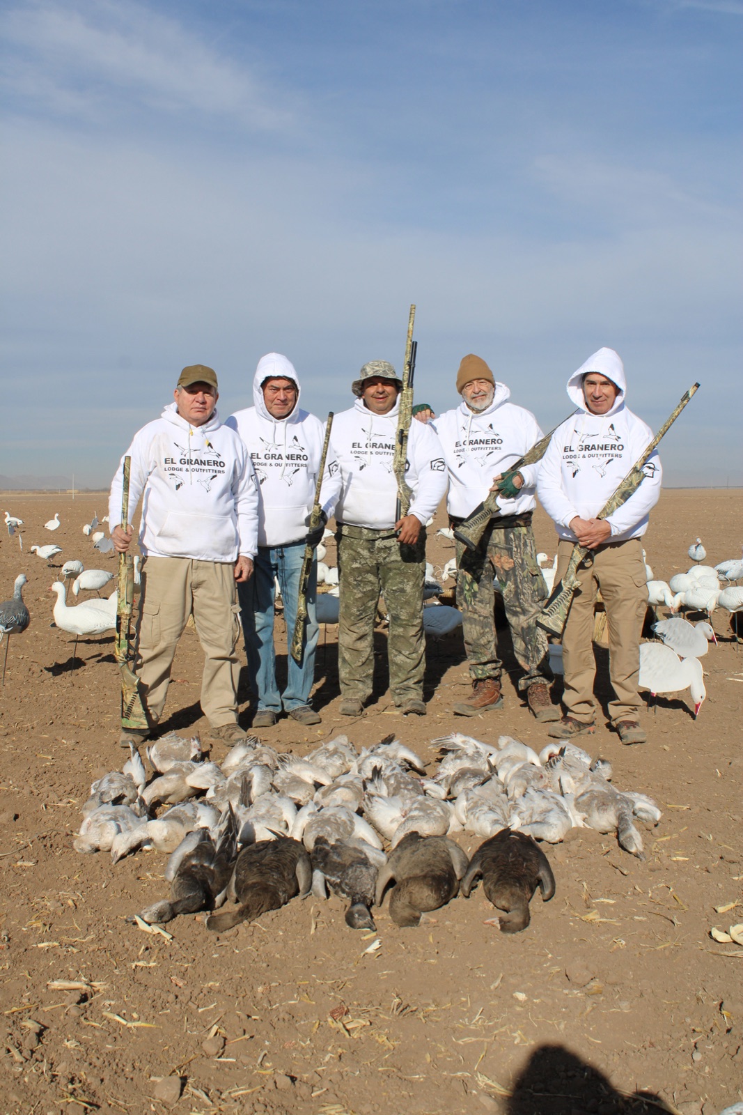 Two hunters and snow geese in flight behind, Chihuahua field